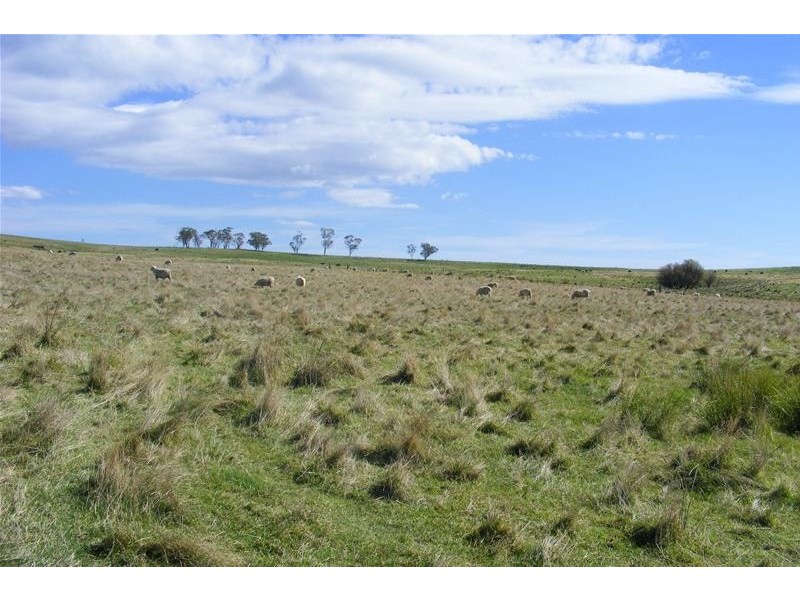 Sodwalls NSW 2790