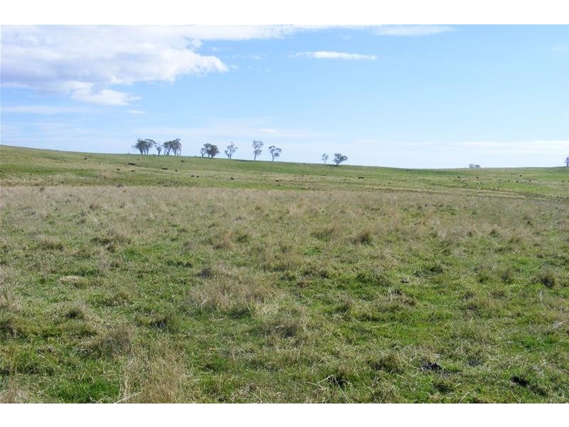 Sodwalls NSW 2790