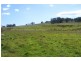 Sodwalls NSW 2790