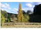 Black Springs NSW 2787