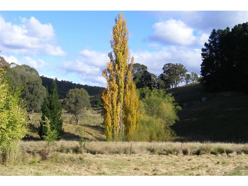 Black Springs NSW 2787