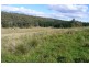 Black Springs NSW 2787