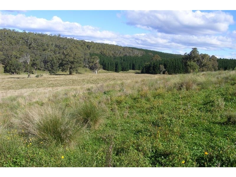 Black Springs NSW 2787
