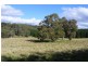 Black Springs NSW 2787