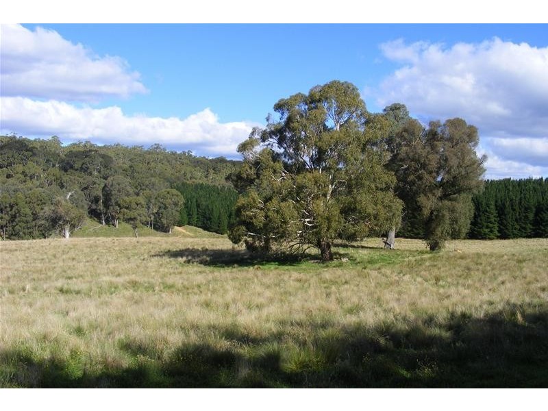 Black Springs NSW 2787
