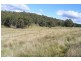 Black Springs NSW 2787