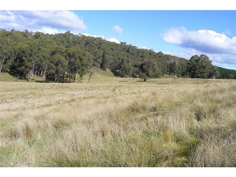 Black Springs NSW 2787