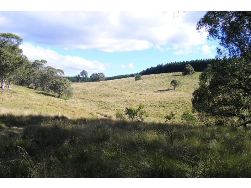 Black Springs NSW 2787