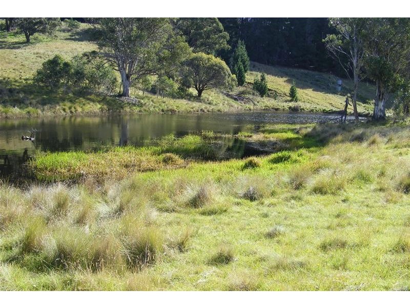Black Springs NSW 2787