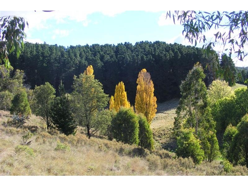 Black Springs NSW 2787