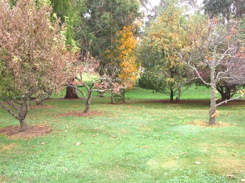 Black Springs NSW 2787