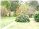 Black Springs NSW 2787