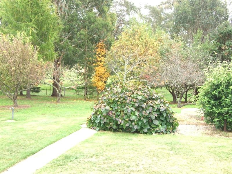 Black Springs NSW 2787