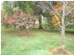 Black Springs NSW 2787