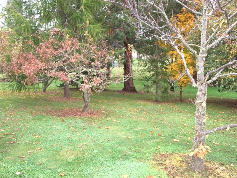 Black Springs NSW 2787