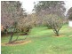 Black Springs NSW 2787