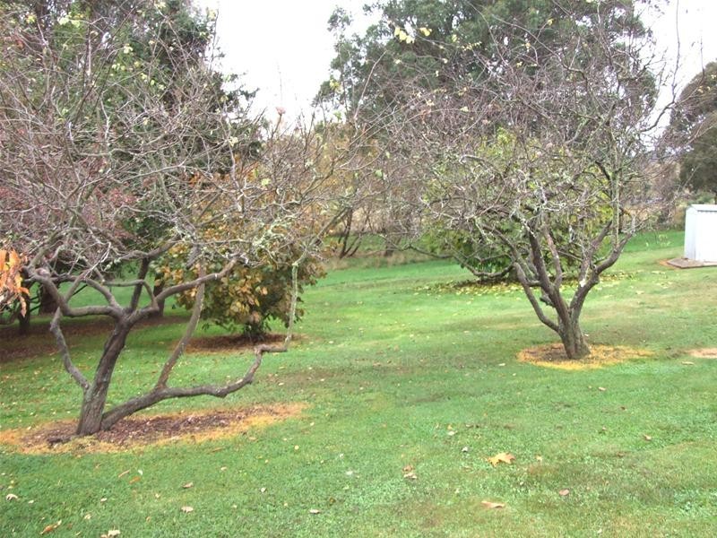Black Springs NSW 2787