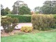Black Springs NSW 2787