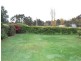 Black Springs NSW 2787