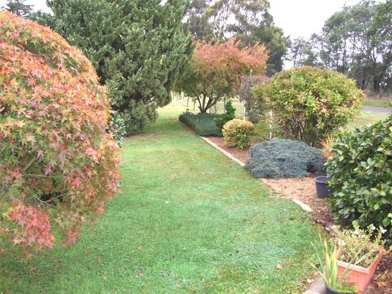 Black Springs NSW 2787