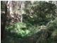 Oberon NSW 2787