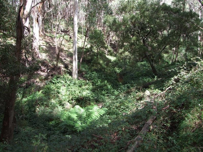 Oberon NSW 2787