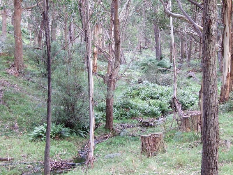 Oberon NSW 2787