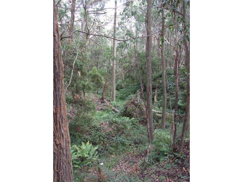 Oberon NSW 2787