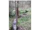 Oberon NSW 2787