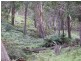 Oberon NSW 2787