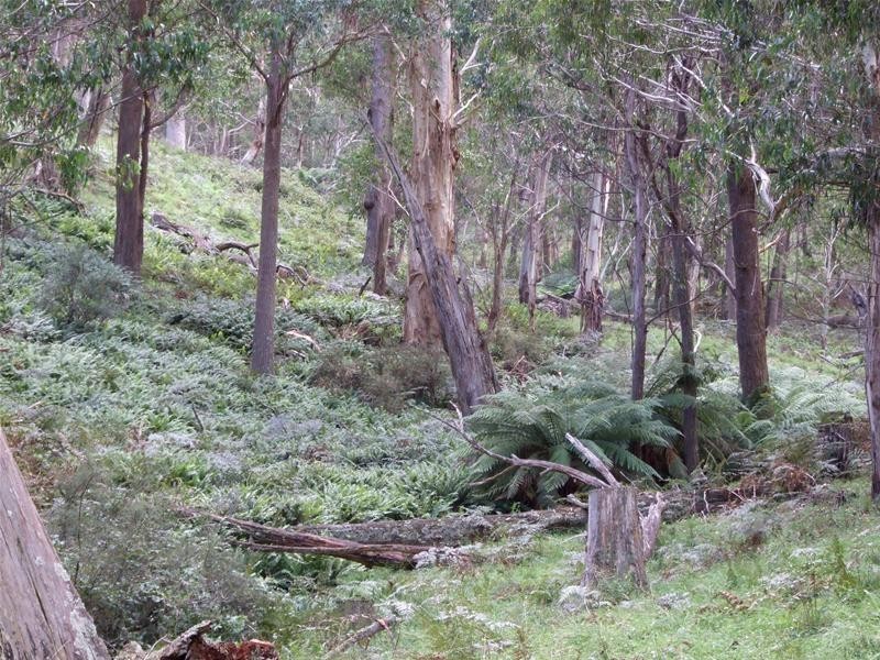 Oberon NSW 2787