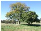 Oberon NSW 2787