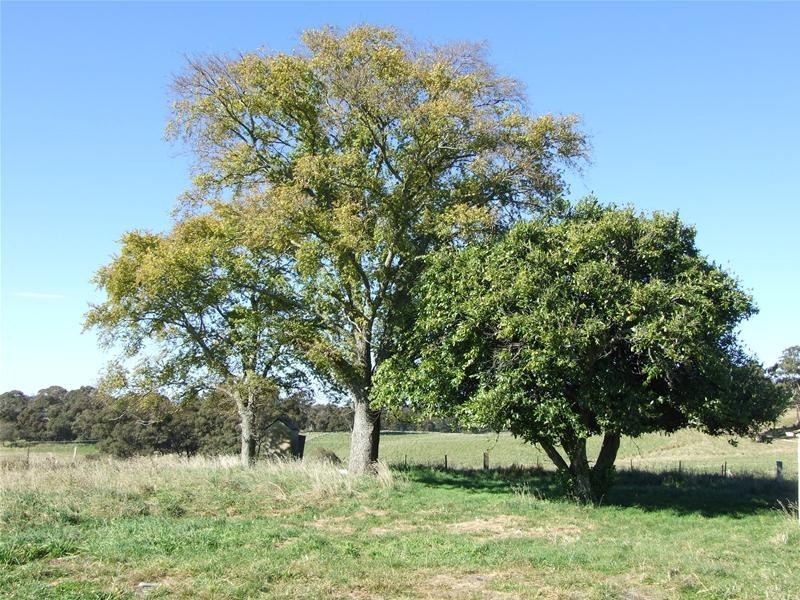 Oberon NSW 2787