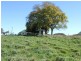 Oberon NSW 2787