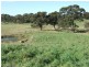 Oberon NSW 2787