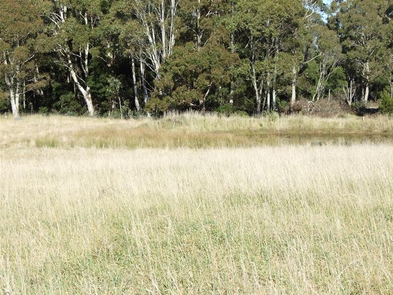 Oberon NSW 2787