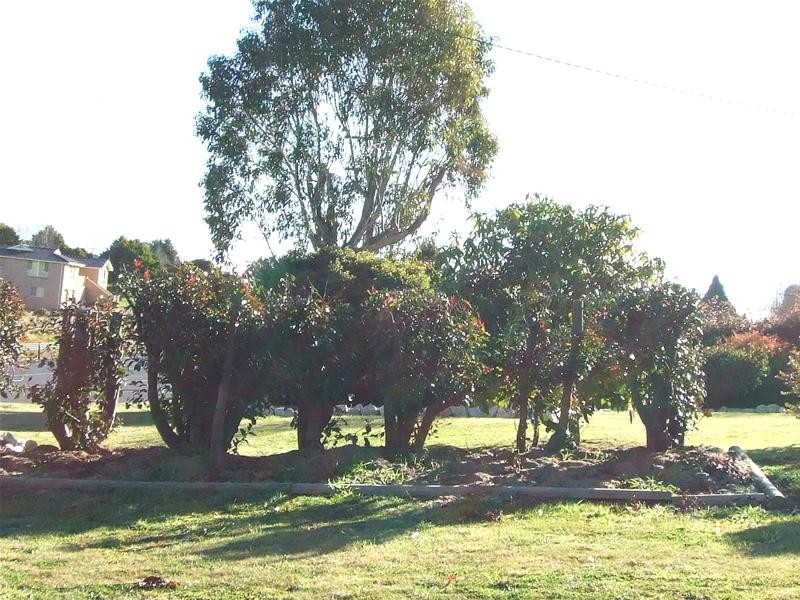 Oberon NSW 2787