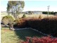 Oberon NSW 2787