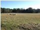 Oberon NSW 2787