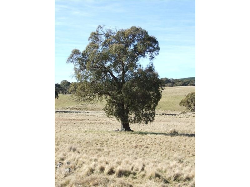 Oberon NSW 2787
