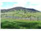 O’connell NSW 2795
