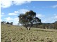 Lot /3 Titania Road, Oberon NSW 2787