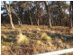 Oberon NSW 2787