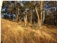 Oberon NSW 2787