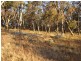 Oberon NSW 2787