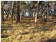 Oberon NSW 2787