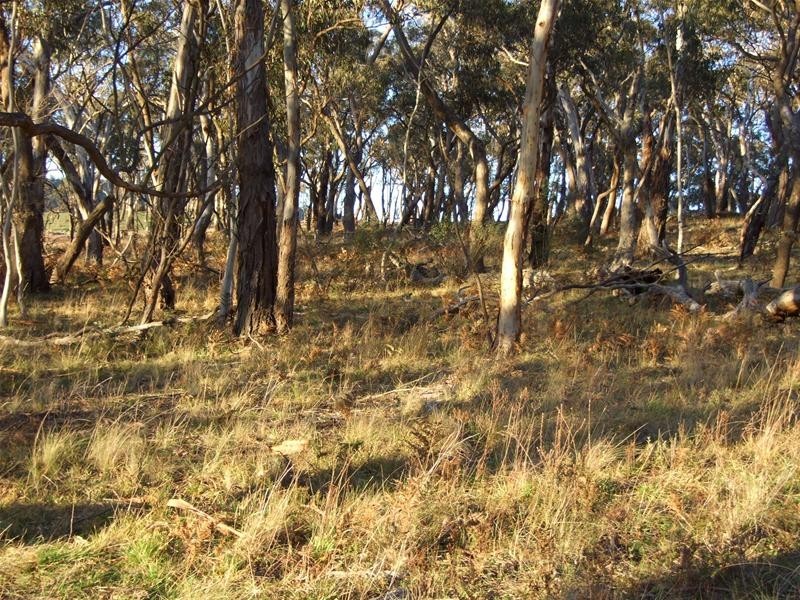 Oberon NSW 2787