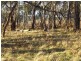 Oberon NSW 2787