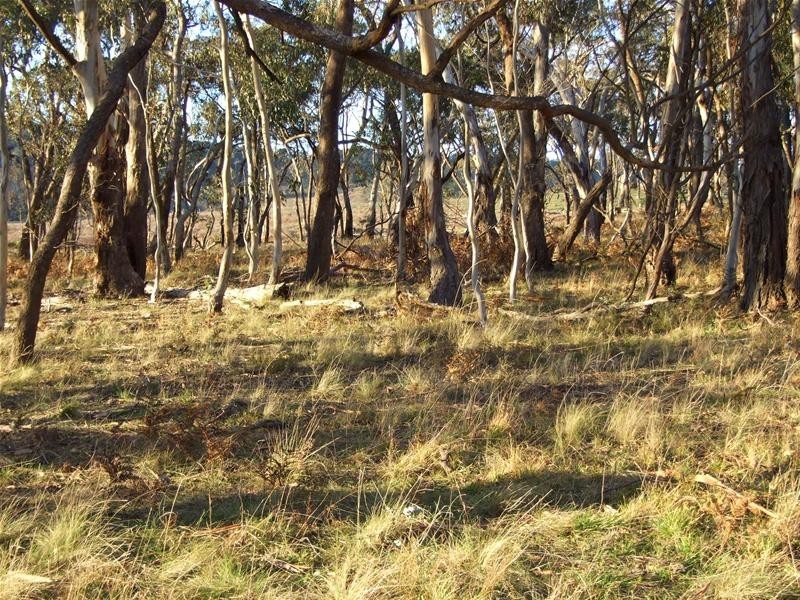 Oberon NSW 2787
