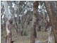 Oberon NSW 2787